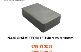 Nam châm ferrite F40x25x10mm