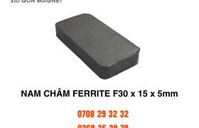 Nam châm ferrite F30x15x5mm