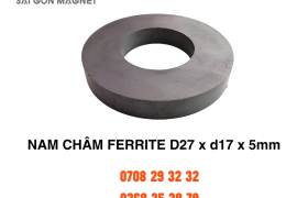 Nam châm ferrite D27xd17x5mm