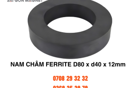 Nam châm ferrite D80xd40x12mm