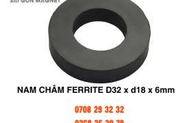 Nam châm ferrite D32xd18x6mm