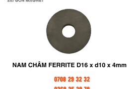 Nam châm Ferrite D16xd10x4mm